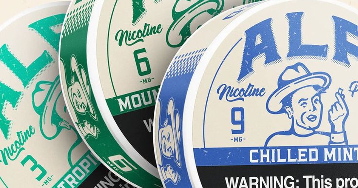 Lata de snus cercada por folhas de menta, frutas cítricas e grãos de café